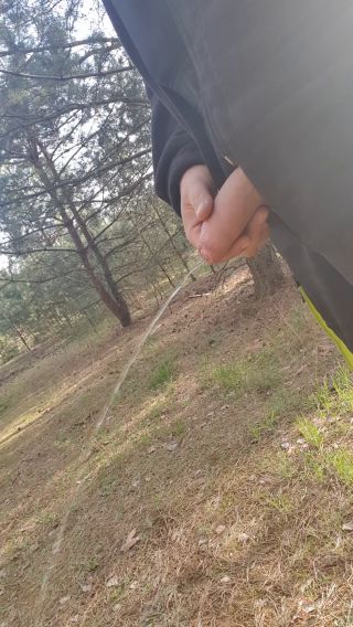 20250410_172604.mp4
