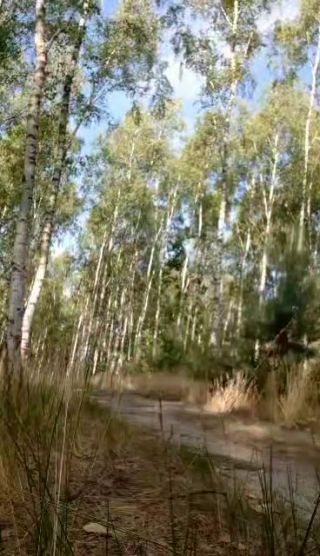 Messenger_creation_7230982134052806477.mp4