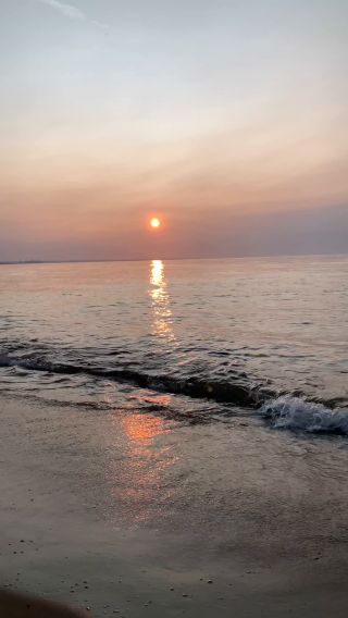 IMG_7479.mov