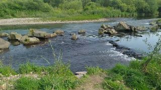 VID_20250721_170810.mp4