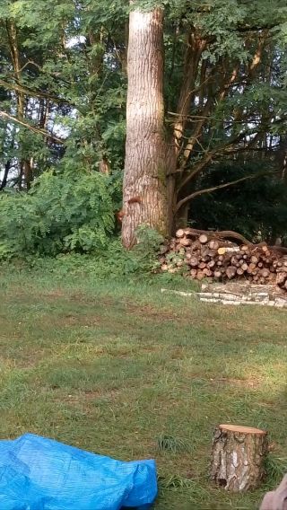 1754284143428.mp4
