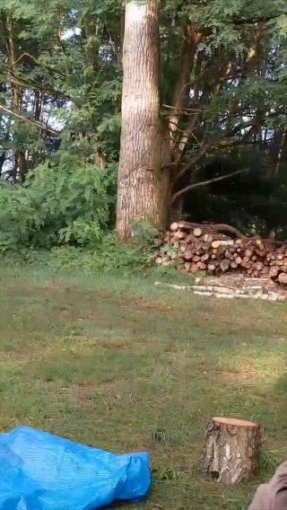 1754284143428.mp4