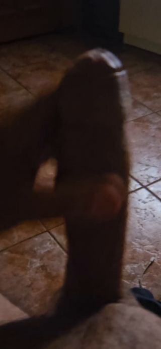 Sexiparapz698