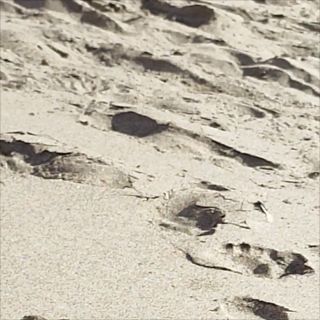 VID_20251112_095904.mp4