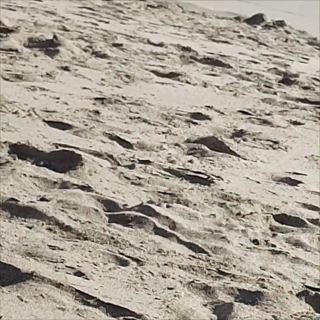 VID_20251112_095904.mp4