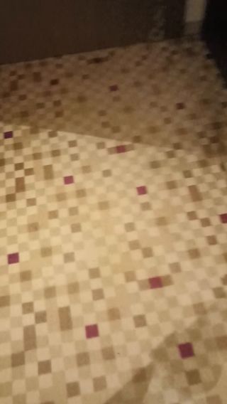 slugaoralny2