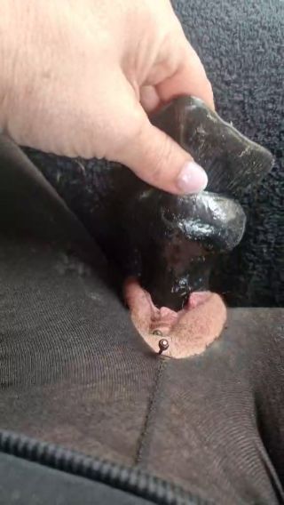 1000018564.mp4