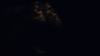 VID_20260912_213401.mp4