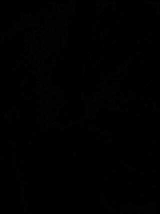 LIVE - 2026-09-28 05:25