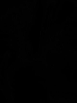 LIVE - 2026-09-28 05:25